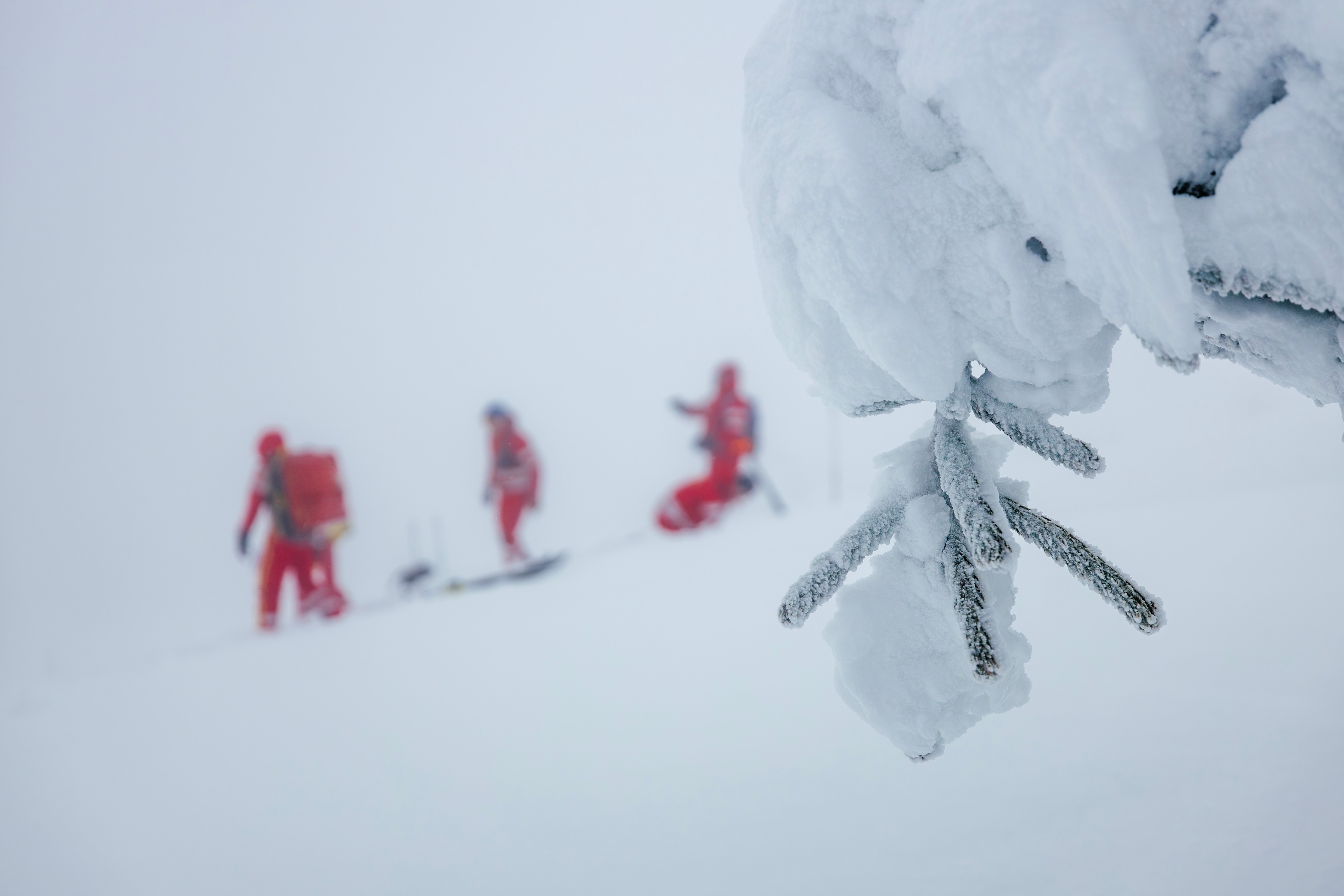 Speed Climbing vs. Safety | Chasing Glory or Gambling with Lives?