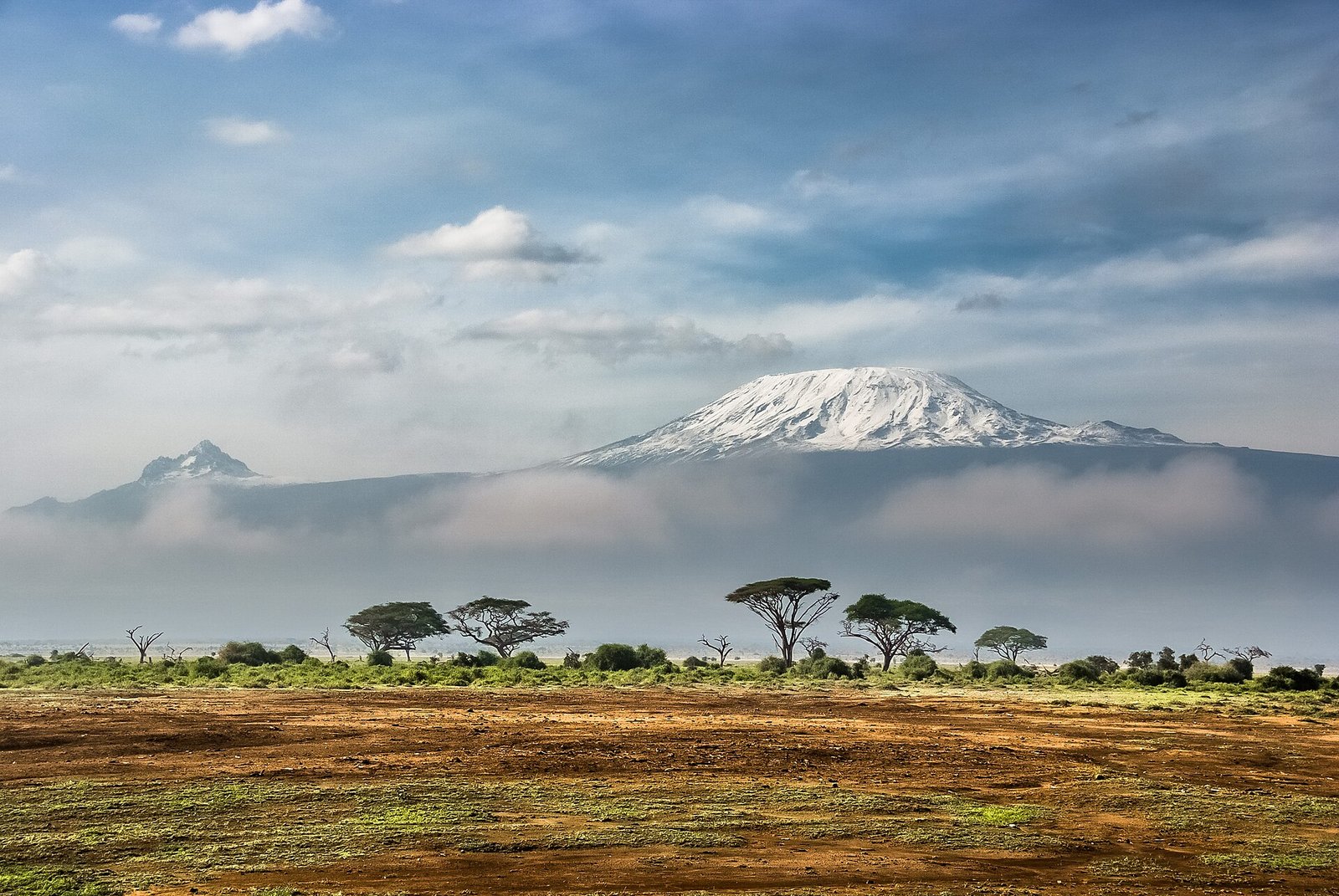 Kilimanjaro climb: verified guide reviews | ExpedReview
