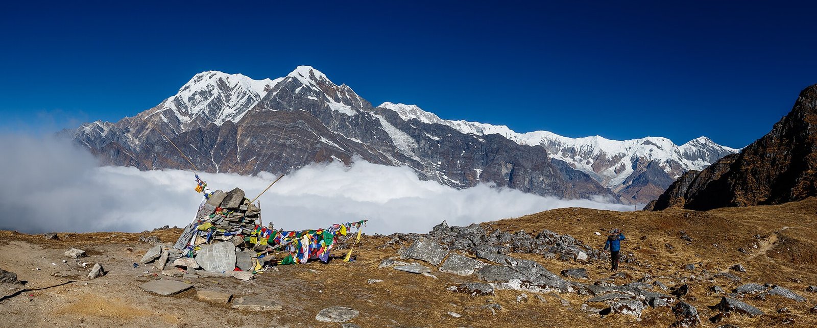 Mardi Himal Trek Guide: Route, Itinerary, High Camp and Verified Reviews | ExpedReview