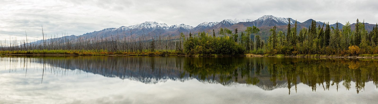 Denali, Alaska and Yukon Guides: Verified Reviews for Denali and Mount Logan | ExpedReview
