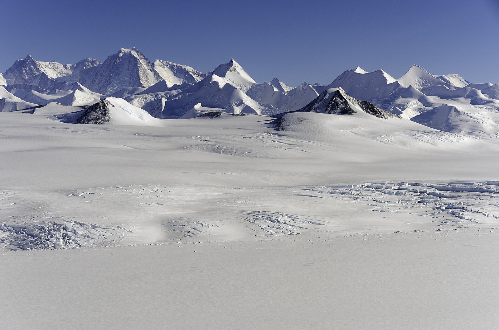 Antarctica Climbing Guides: Verified Reviews for Vinson Massif and Expeditions | ExpedReview